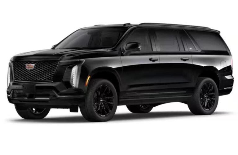 3533E49F-EE61-487E-BDB9-5D1F4F5E7D94